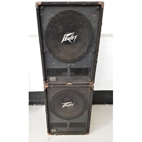 480 - PAIR OF PEAVEY EN-118 SPEAKERS
76cm x 55cm x 59cm