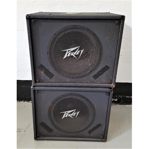 484 - TWO PEAVEY BASS FLEX SPEAKERS
51cm x 62cm x 48cm