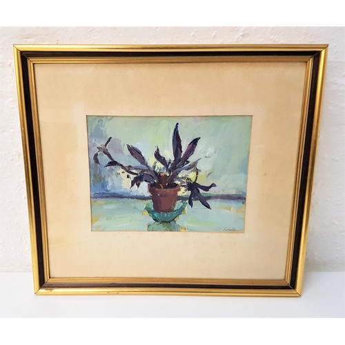 556 - JAMES FULLARTON (b.1946)
Still life of a plant, oil on board, signed, 19cm x 25cm