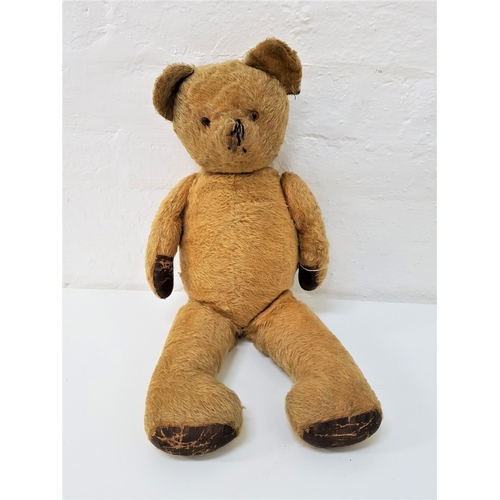 406 - EARLY 20th CENTURY GOLD PLUSH TEDDY BEAR
with jointed limbs and bead eyes, 60cm high