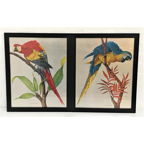 448 - RICHARD T SMITH
pair of kitsch parrot prints, both with metallic finish and 49.6cm x 39.5cm (2)