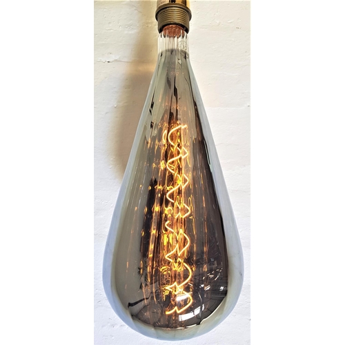 500 - TWO LARGE FEATURE LIGHT BULBS
of pear shape with a silvered finish and decorative spiral filament, s... 