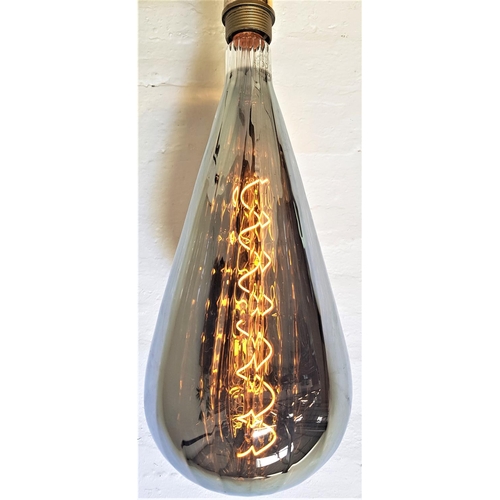 501 - TWO LARGE FEATURE LIGHT BULBS
of pear shape with a silvered finish and decorative spiral filament, s... 