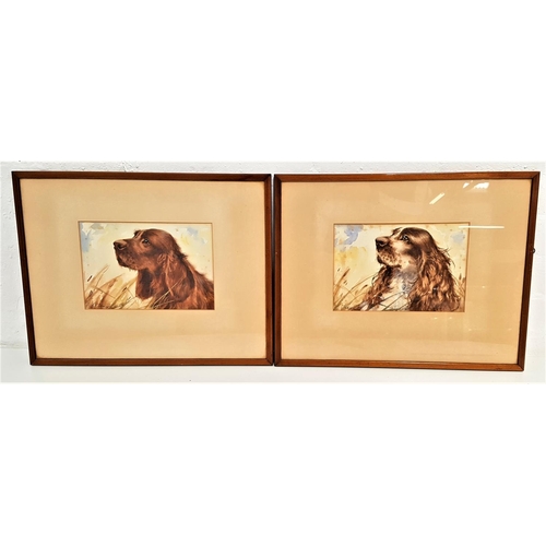 455 - L. FRASER
Irish setter and Cocker spaniel, two watercolours, signed, both 16cm x 23.5cm (2)