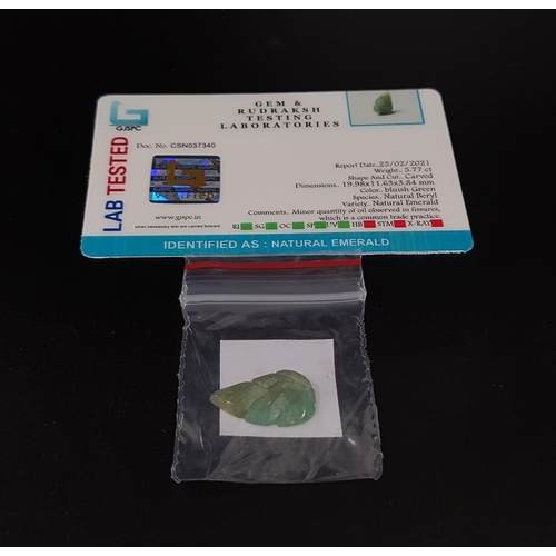 116 - CERTIFIED LOOSE NATURAL EMERALD
the carved emerald in the form of a leaf weighing 5.77cts, with GJSP... 