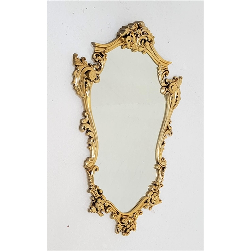 542 - ORNATE SHIELD SHAPED MIRROR
with a gilt frame, 75cm high