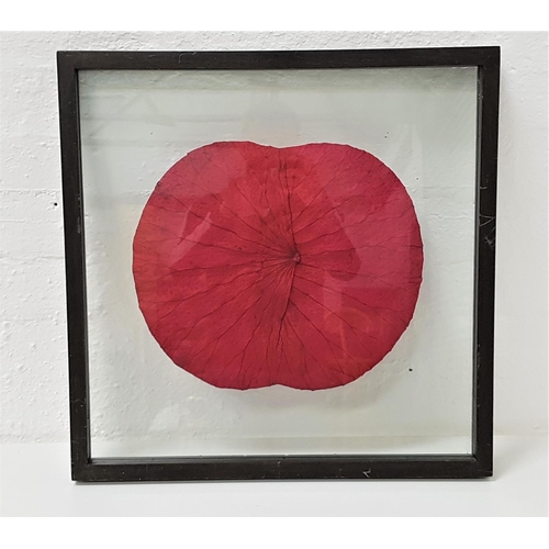 466 - BRITISG SCHOOL
The Poppy, textured paper, mounted in a double sided glass frame, 51.5cm x 51.5cm