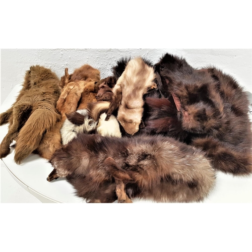 390 - SELECTION OF FUR ACCESSORIES
including two fox stoles, fox hat, five mink collars, three musquash co... 