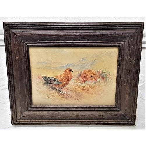388 - JAMES STINTON
Grouse In The Highlands, watercolour, signed, 11.7cm x 17cm
Note; James Stinton was a ... 