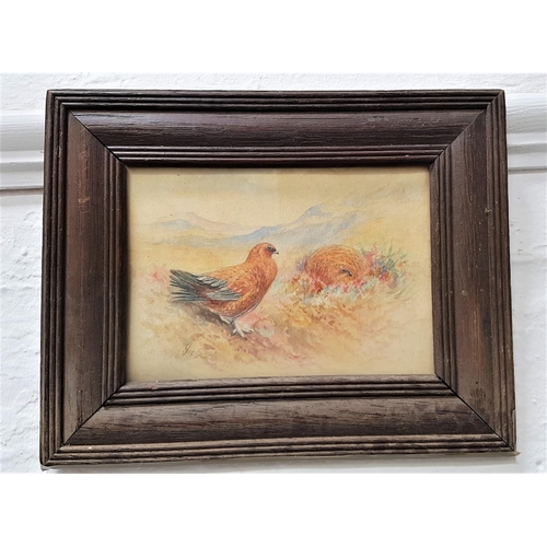 388 - JAMES STINTON
Grouse In The Highlands, watercolour, signed, 11.7cm x 17cm
Note; James Stinton was a ... 