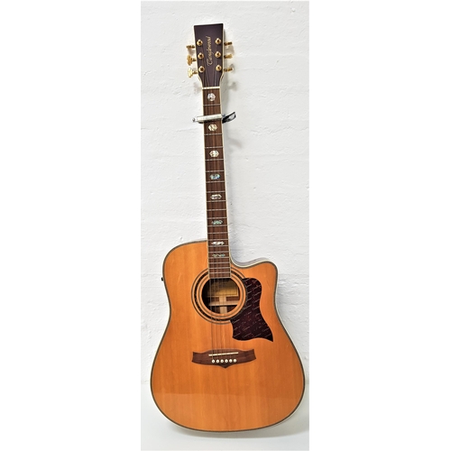 291 - TANGLEWOOD ELECTRIC ACCOUSTIC GUITAR
model TW900CE, with side mounted control panel