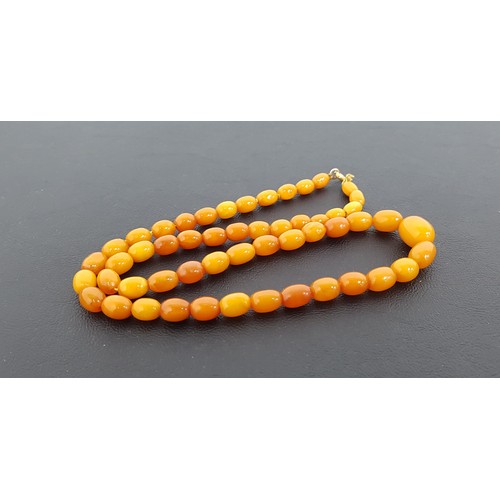 86 - GRADUATED AMBER BEAD NECKLACE
the butterscotch amber necklace with gold clasp, 49cm long and approxi... 