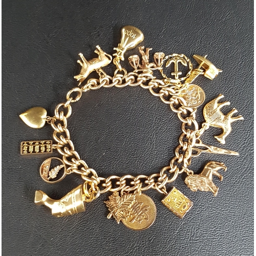 51 - GOLD CHARM BRACELET
the nine carat gold fancy curb link bracelet with a selection of nine, fourteen ... 