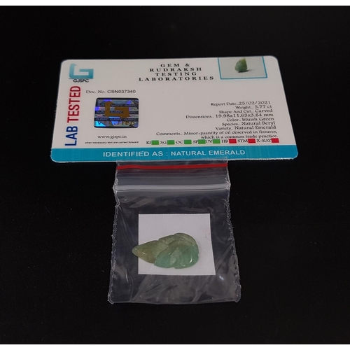 120 - CERTIFIED LOOSE NATURAL EMERALD
the carved emerald in the form of a leaf weighing 5.77cts, with GJSP... 