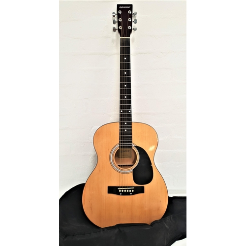 292 - ELEVATION ACCOUSTIC GUITAR
model W-100-N-A, with a soft shell case
