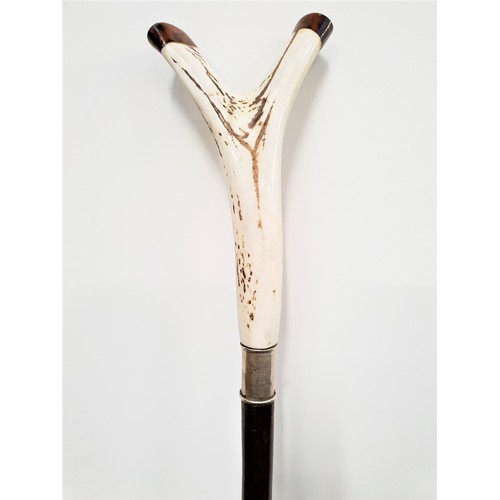 283 - HAZEL WALKING STICK
with an antler Y shaped handle above a silver collar engraved with a stags head,... 