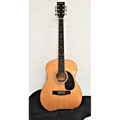 350 - ELEVATION ACCOUSTIC GUITAR
model W-100-N-A, with a soft shell case