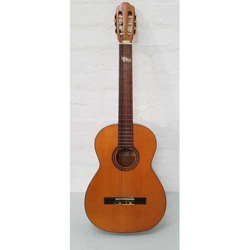 218 - FIESTA ACCOUSTIC GUITAR
model 348/S, with a soft shell case