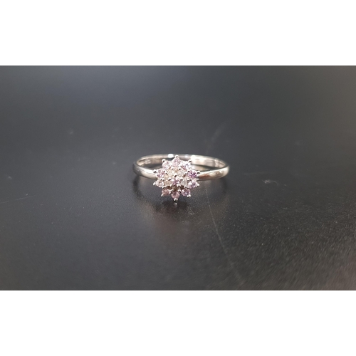 106 - DIAMOND CLUSTER RING
on nine carat gold shank, ring size N-O