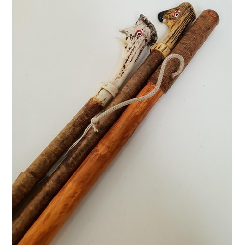 205 - THREE CARVED WALKING STICKS
two with antler handles and one with a carved grip, 115cm , 116cm and 11... 