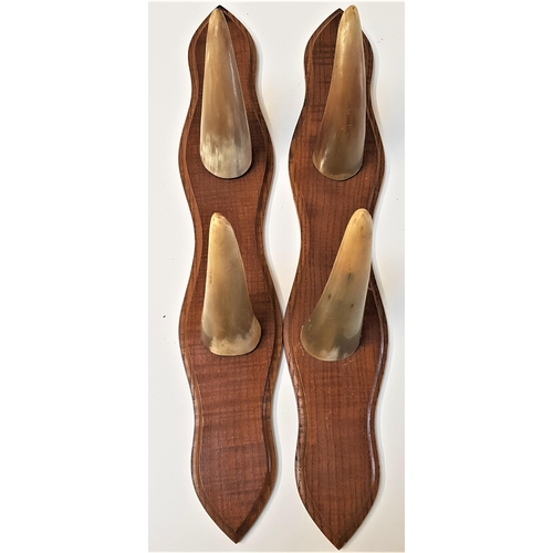 174 - PAIR OF HORN HAT/COAT HOOKS
mounted on shaped oak bodies, each with two hooks, each 42cm long (2)