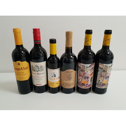 307 - SIX BOTTLES OF RED WINE
comprising two bottles of Porta 6 (750ml and 13.5%); one bottle of Campo Vie... 