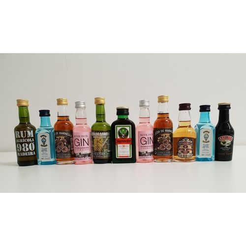 308 - ELEVEN MINIATURE BOTTLES OF SPIRITS AND LIQUEURS
comprising two bottles of Rejkjavik pink gin (50ml ... 