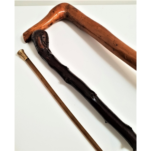 292 - VINTAGE RIDING CROP
with a gold plated finial and fibreglass shaft, 64cm long, and two gnarled walki... 