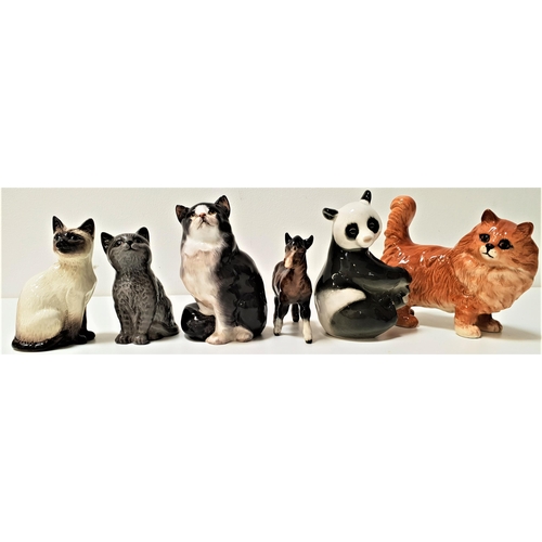 223 - THREE BESWICK CATS
comprising a ginger tom, 13cm high, seated Siamese, 10.5cm high and a seated Pers... 