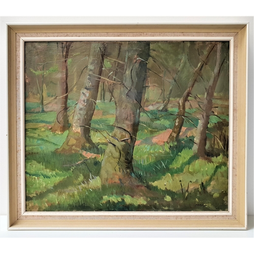 481 - J.B.N.WHYTE
Forest floor, acrylic on canvas, signed, 49.5cm x 59cm