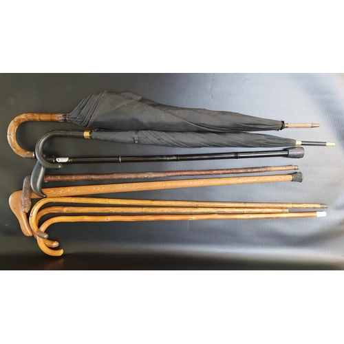 316 - SELECTION OF SIX WALKING STICKS
and two umbrellas (8)