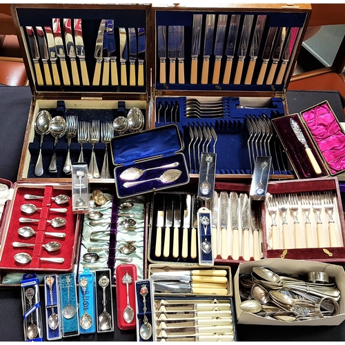 183 - LARGE SELECTION OF SILVER PLATED FLATWARE
including two oak part canteens, cake knife, collectors sp... 