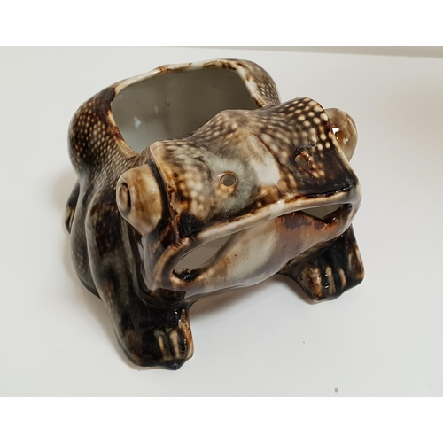 268 - POTTERY JARDINERE
in the form of a frog with an open mouth, 22cm long