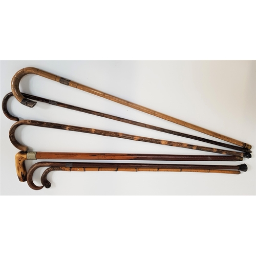 355 - SIX VINTAGE WALKING STICKS
three with silver collars, ranging in height from 78.5cm to 94.5cm (6)