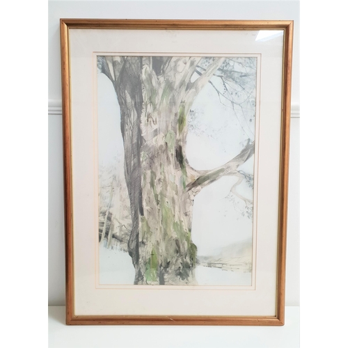 499 - OSCAR GOODALL
The tree, pencil and watercolour, signed and dated '82, label to verso, 68.5cm x 47cm