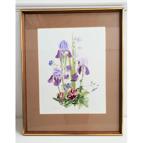 498 - M.B.MUIR
Irises, watercolour, signed and dated 1979, 45.5cm x 35.5cm