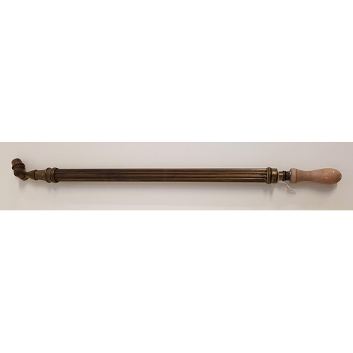 372 - VINTAGE BRASS GARDEN SPRAYER
with a pump action wooden handle and adjustable nozzle, 76cm long