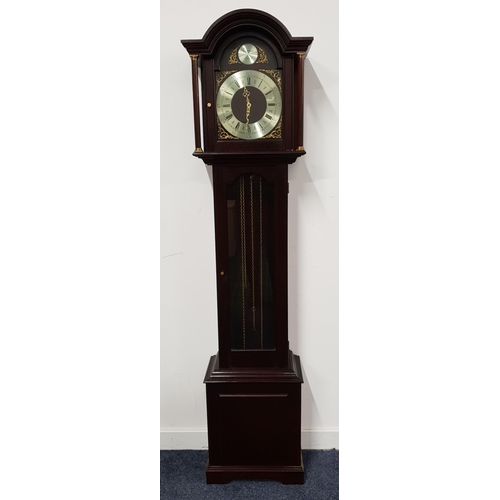 506 - MAHOGANY LONGCASE CLOCK
with an arched dial marked Tempus Fugit above a circular chapter ring with R... 