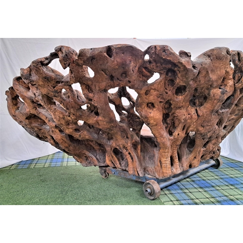 480 - CARVED OLIVE WOOD ROOT BENCH
of natural shaped form, the bench carved with masks, figures, animals, ... 