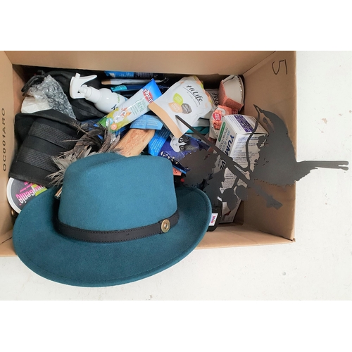 5 - ONE BOX OF MISCELLANEOUS ITEMS
including wool hat, garden ornament, toys, souvenirs, cat and dog foo... 
