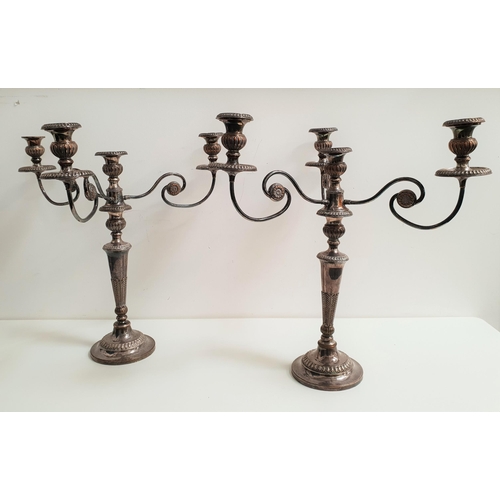 141 - PAIR OF SILVER PLATED CANDLEABRA
raised on a circular base with a central drip pan and three shaped ... 