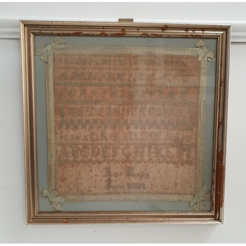 229 - VICTORIAN SAMPLER
with a variety of letters and numbers, by Ane Rapp 1881, frame size 44cm x 44.5cm