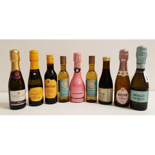 218 - NINE MINIATURE BOTTLES OF WINE AND PROSECCO/SPARKLING WINE
comprising one bottle of Campo Viejo rioj... 