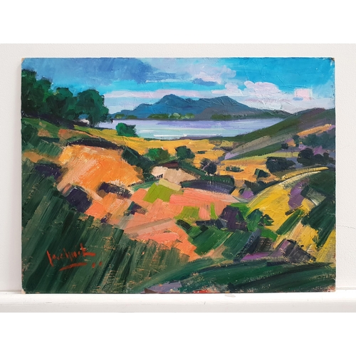 313 - CLIVE VINCENT JACHNIK
Western Isles landscape, oil on board, signed and label to verso, 30.5cm x 41c... 