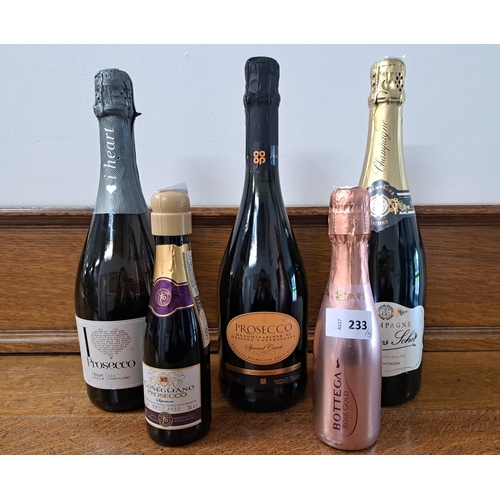 233 - SELECTION OF PROSECCO AND CHAMPAGNE
Comprising I 'heart' Prosecco (750ml, 11%), Coop Prosecco (750ml... 