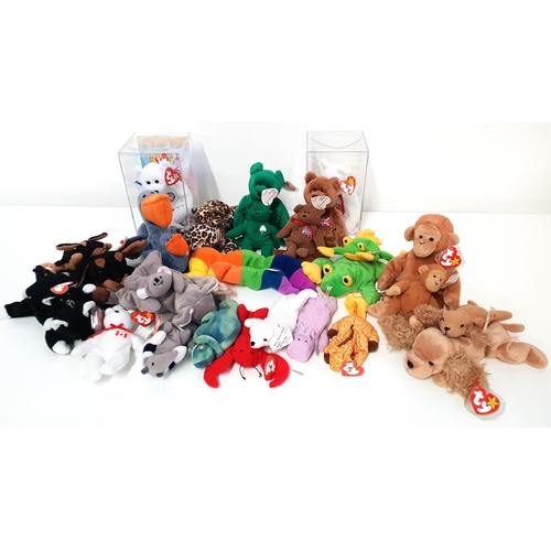 370 - TWELVE BEANIE BABIES AND MATCHING TEENIE BEANIE BABIES
comprising Freckles, Scoop, Erin, Smoochy, Do... 