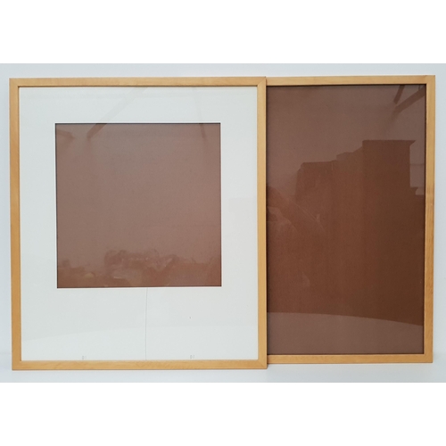 422 - PAIR OF PICTURE FRAMES
with glass, 61cm x 53cm (2)