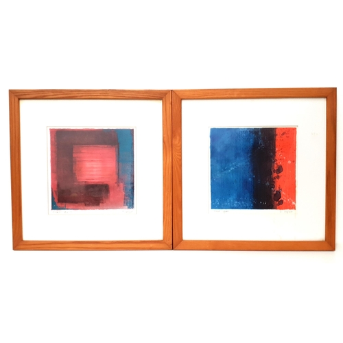 TWO ABSTRACT FRAMED ART PRINTS
one by Denise Duplock titled 'Ischia Square'; the other by Tim Harbridge titled 'Shibumi red 10', both framed, the image size of both approximately 30cm x 60cm, frame sizes approximately 54.8cm x 54.8cm
