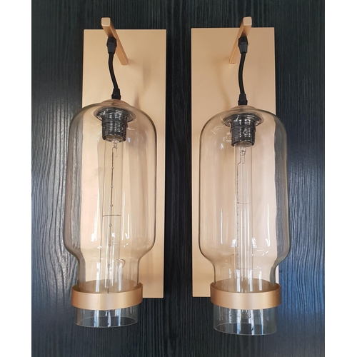 PAIR OF BRASS HALL LIGHTS
with rectangular brass wall plate and arm, the shaped cylindrical glass shade with decorative long clear glass light bulb, each with steel wall mounting back plate, 48cm high (2)