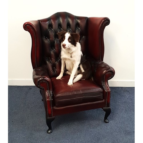 290 - CHESTERFIELD WING BACK ARMCHAIR
in ox blood leather with a button back and scroll arms with decorati...